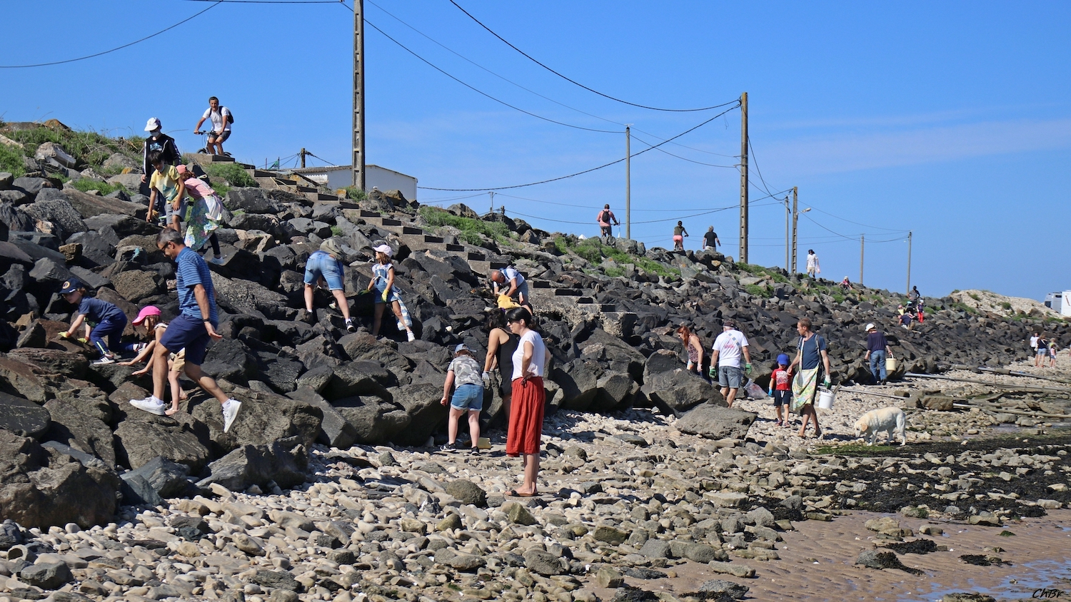 Marsilly Coast à Coast nettoyage de la cote